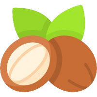 Shea Butter